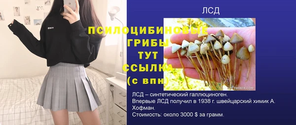 скорость Алексеевка