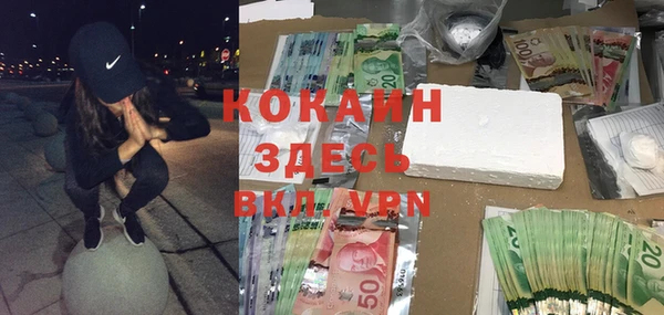 сатива Алзамай
