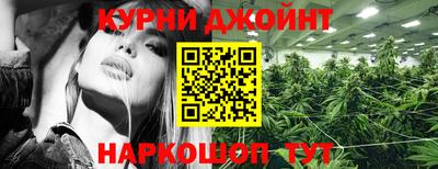 Альфа ПВП Нальчик