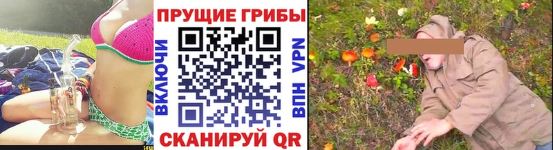 Псилоцибиновые грибы Psilocybe  закладки  даркнет состав  Сургут 