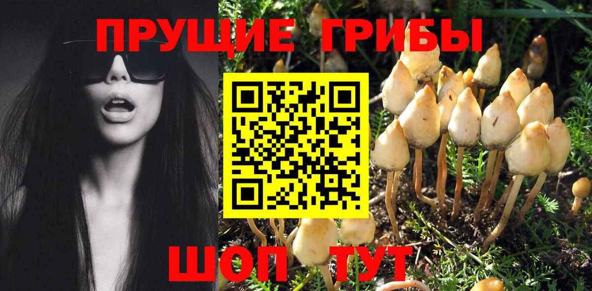 Псилоцибиновые грибы ЛСД Сургут