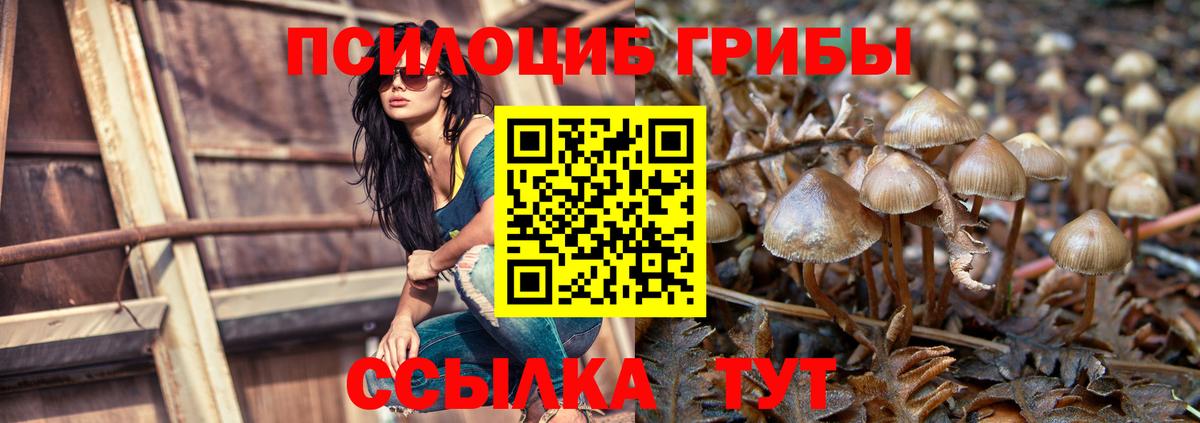 Псилоцибиновые грибы ЛСД  где можно купить   Сургут  Галлюциногенные грибы ЛСД  Вход с VPN 